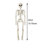 Skeleton halloween decoration