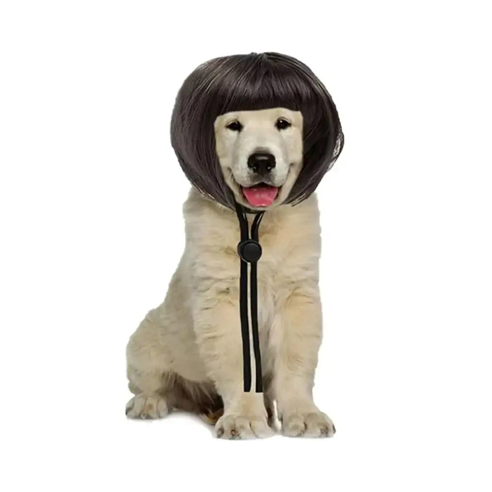 Pet Bob Wig Exposed Ear Design Comfortable To Wear Cat Fake Hair Dressing Up fun