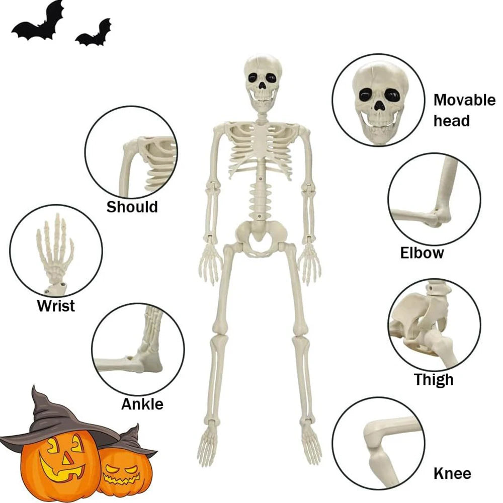 Skeleton halloween decoration