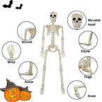 Skeleton halloween decoration