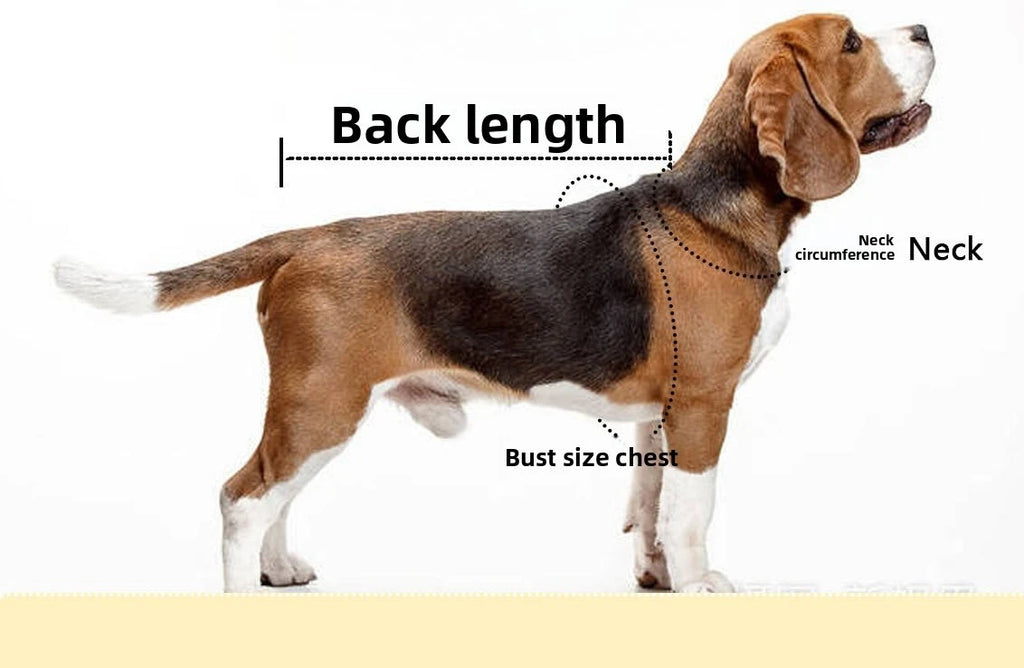 XS-8XL Pet Raincoat Transparent Dog Raincoat Waterproof and Windproof Pet Clothing Large Dog Pet Costume for Rainy Days Walking