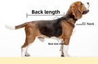 Transparent Waterproof Dog Raincoat – XS–8XL