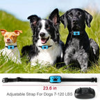 USB Rechargeable Anti-Bark Dog Collar with Sound & Vibration