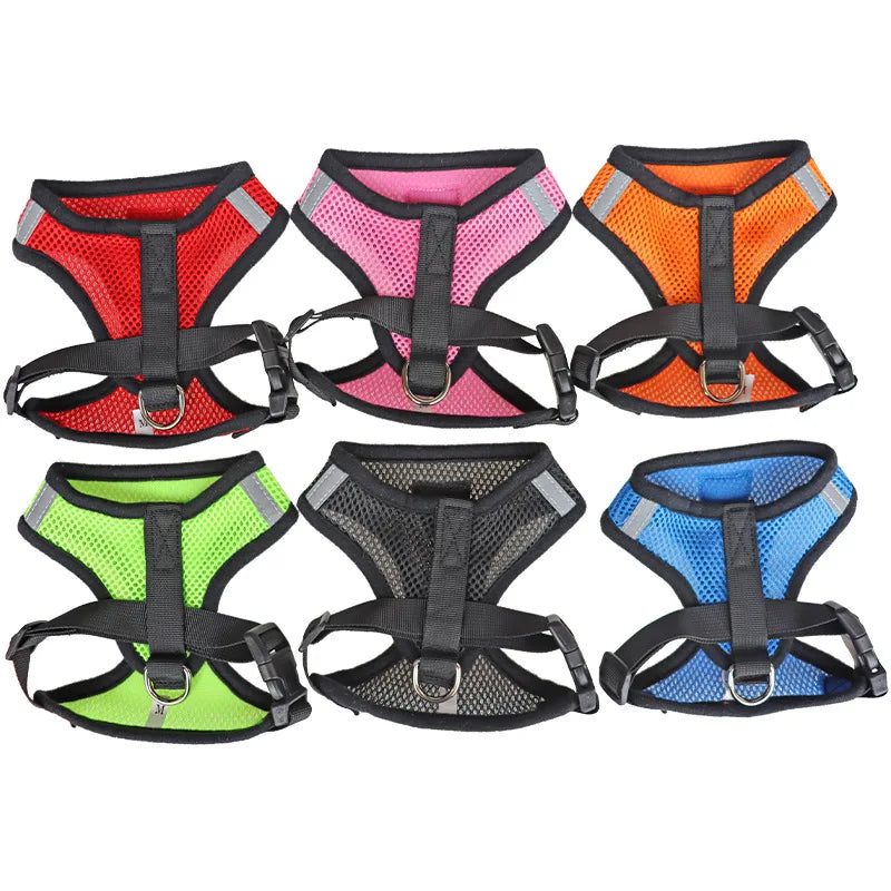Breathable Mesh Dog & Cat Harness with Lead – S to XL
